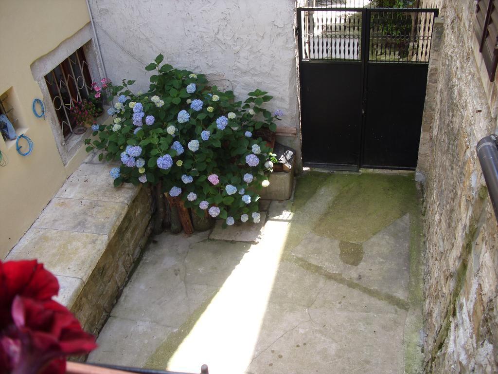 Rooms Svalina (Adults Only) Grožnjan Екстериор снимка