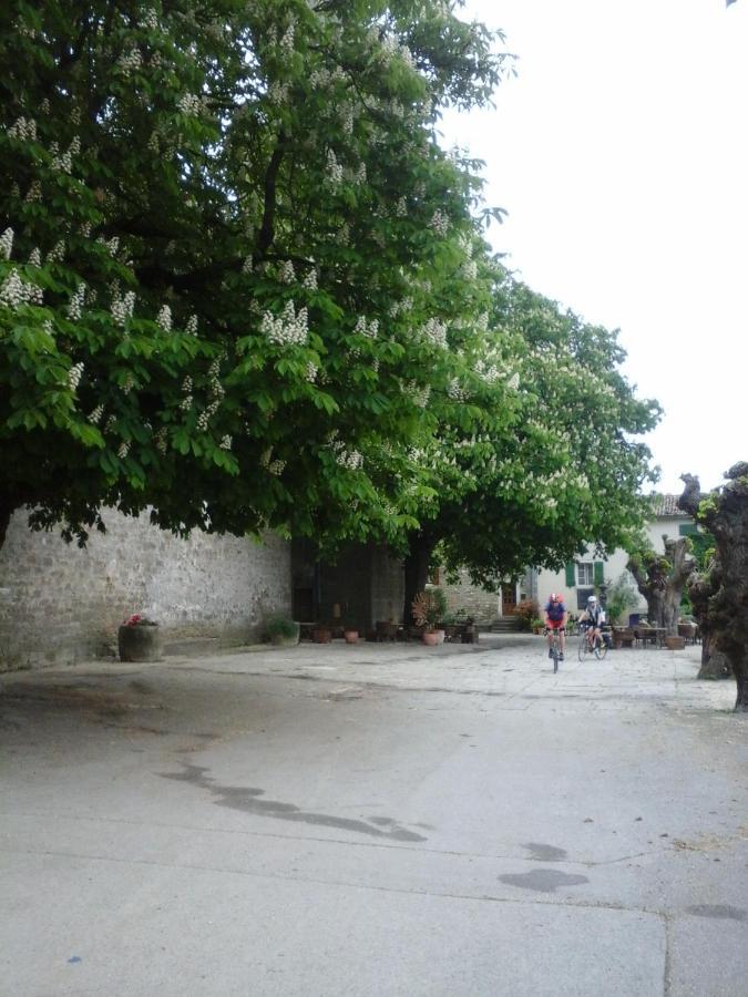 Rooms Svalina (Adults Only) Grožnjan Екстериор снимка